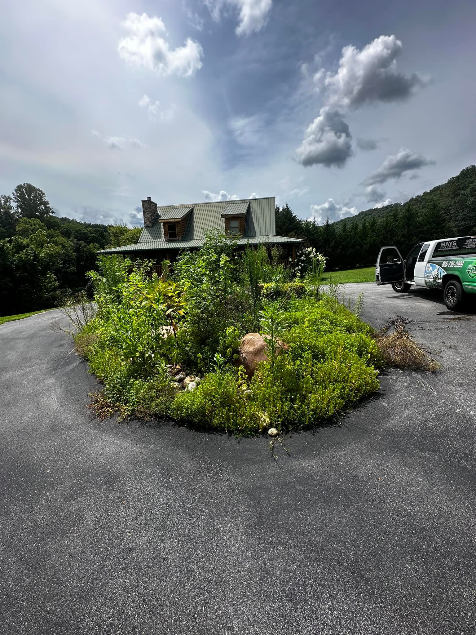 Property before overgrowth trimming - wild and overgrown